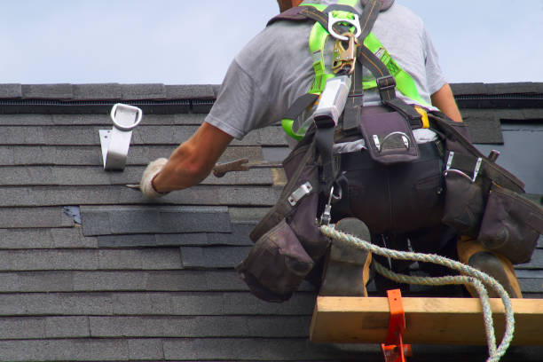 Best Custom Siding Design  in Washburn, ND