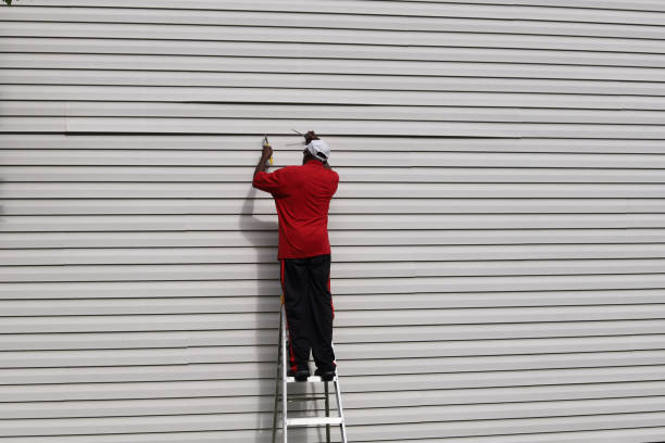 Best Insulated Siding Installation  in Washburn, ND