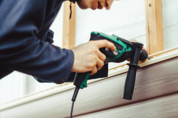 Best Siding Replacement  in Washburn, ND